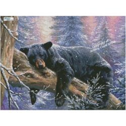 Time to Hibernate (Abraham Hunter)