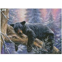 Time to Hibernate (Large) (Abraham Hunter)