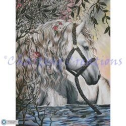 Saint (Dakota Daetwiler)