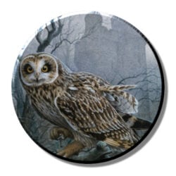 She Guarded the Castle (needleminder)