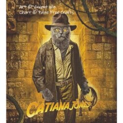 Indiana (Catiana) Jones Cat