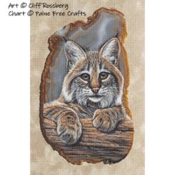 Little Bobby (Bobcat) (Cliff Rossberg)