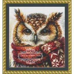 Christmas Owl (crop) - (Anders Eismann)