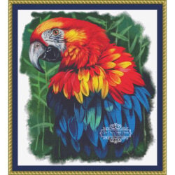 Colorful Macaw - (Lori Kajenna)