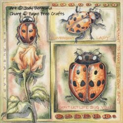 Lady Bug - Everyone Needs their Own Spot (Jody Bergsma)