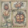 JB-Ladybug-grid Lady Bug - Everyone Needs their Own Spot (Jody Bergsma)