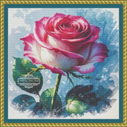 Pink and White Rose - (Christi Clifford)