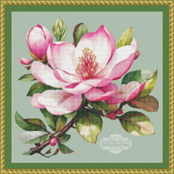 Pink Magnolia - (Anders Eismann)