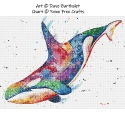 Rainbow Orca