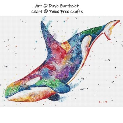 Rainbow Orca (Dave Bartholet)