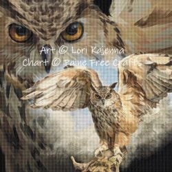 Long Eared Owl (Lori Kajenna)